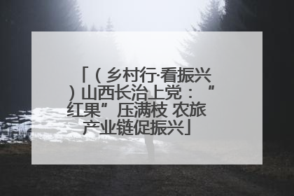 （乡村行·看振兴）山西长治上党：“红果”压满枝 农旅产业链促振兴