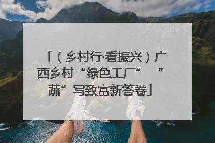 （乡村行·看振兴）广西乡村“绿色工厂” “蔬”写致富新答卷