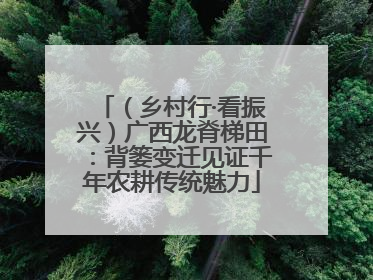 （乡村行·看振兴）广西龙脊梯田：背篓变迁见证千年农耕传统魅力