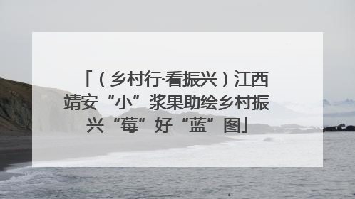 （乡村行·看振兴）江西靖安“小”浆果助绘乡村振兴“莓”好“蓝”图