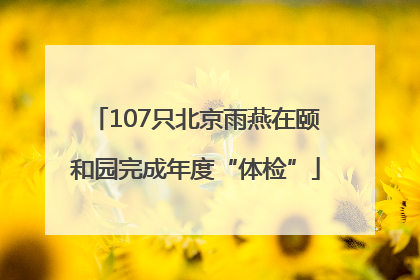 107只北京雨燕在颐和园完成年度“体检”