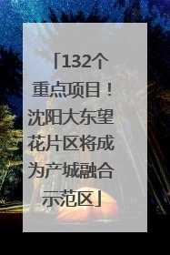 132个重点项目！沈阳大东望花片区将成为产城融合示范区