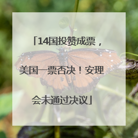14国投赞成票，美国一票否决！安理会未通过决议
