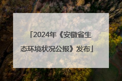 2024年《安徽省生态环境状况公报》发布