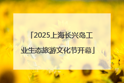 2025上海长兴岛工业生态旅游文化节开幕