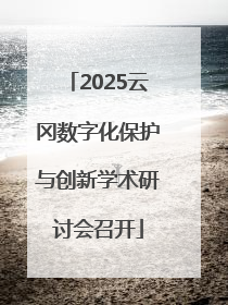 2025云冈数字化保护与创新学术研讨会召开