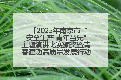 2025年南京市“安全生产 青年当先”主题演讲比赛颁奖暨青春建功高质量发展行动出征仪式举行