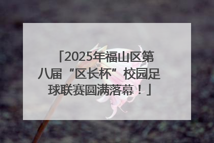 2025年福山区第八届“区长杯”校园足球联赛圆满落幕！