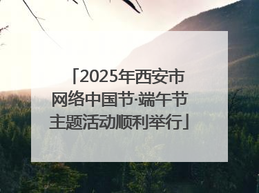 2025年西安市网络中国节·端午节主题活动顺利举行