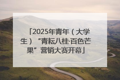 2025年青年（大学生）“青耘八桂·百色芒果”营销大赛开幕