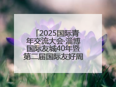 2025国际青年交流大会·淄博国际友城40年暨第二届国际友好周开幕式举行