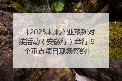 2025未来产业系列对接活动（安徽行）举行 6个重点项目现场签约