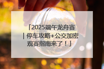 2025端午龙舟赛｜停车攻略+公交加密 观赛指南来了！