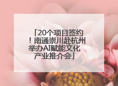 20个项目签约！南通崇川赴杭州举办AI赋能文化产业推介会