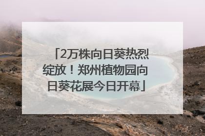 2万株向日葵热烈绽放！郑州植物园向日葵花展今日开幕