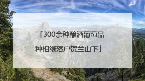 300余种酿酒葡萄品种相继落户贺兰山下