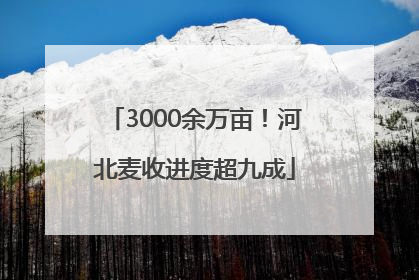 3000余万亩！河北麦收进度超九成