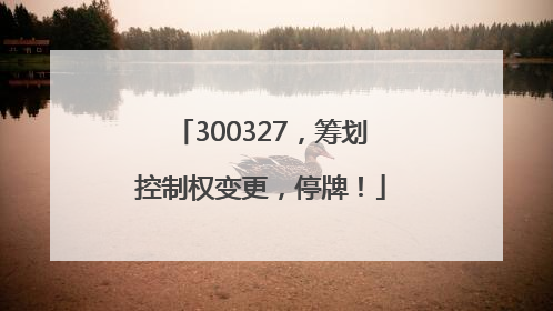 300327，筹划控制权变更，停牌！