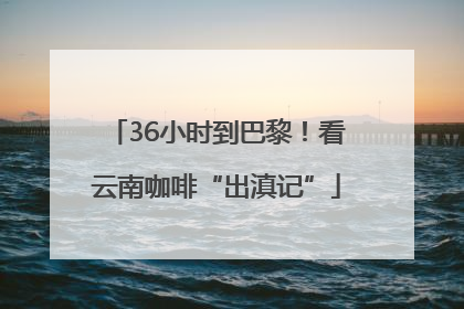 36小时到巴黎！看云南咖啡“出滇记”