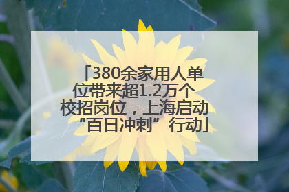 380余家用人单位带来超1.2万个校招岗位，上海启动“百日冲刺”行动