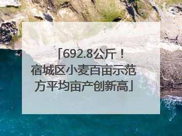 692.8公斤！宿城区小麦百亩示范方平均亩产创新高