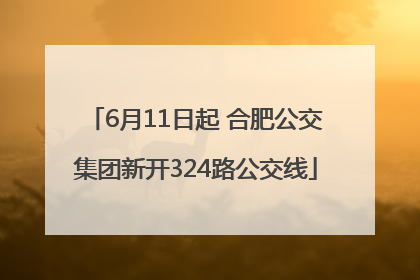 6月11日起 合肥公交集团新开324路公交线