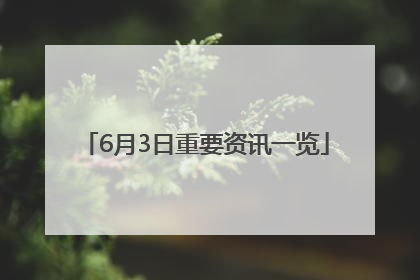 6月3日重要资讯一览