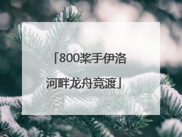 800桨手伊洛河畔龙舟竞渡
