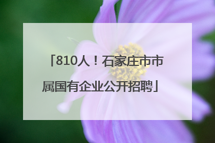 810人！石家庄市市属国有企业公开招聘