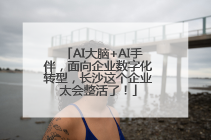 AI大脑+AI手伴，面向企业数字化转型，长沙这个企业太会整活了！