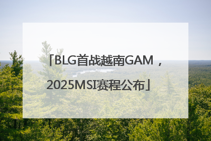 BLG首战越南GAM，2025MSI赛程公布