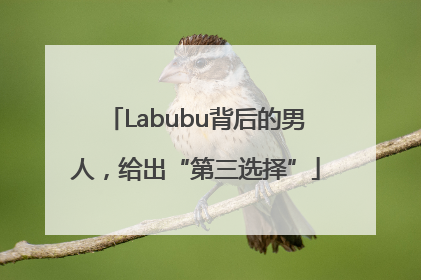 Labubu背后的男人，给出“第三选择”